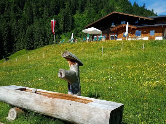 Jausenstation Wildalm