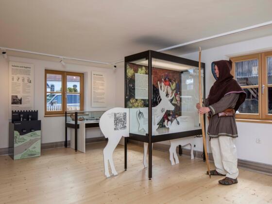 Burgenmuseum Eisenberg-Zell