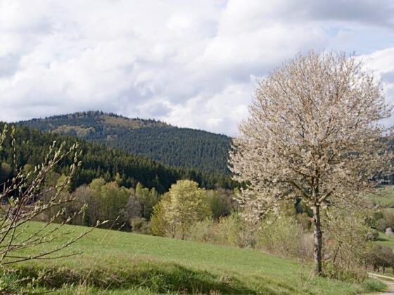 Schusterstein nach Lindenau