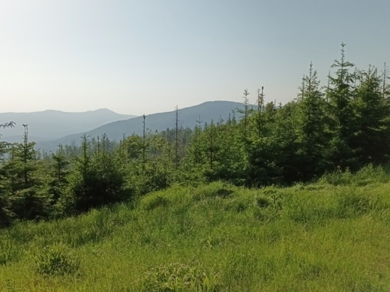 Blick zum Gr. Arber und Falkenstein auf Fahnenriegel-Höhe