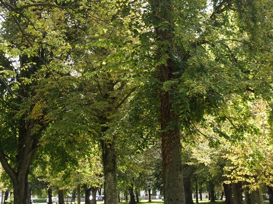 Lindenhain Bergham