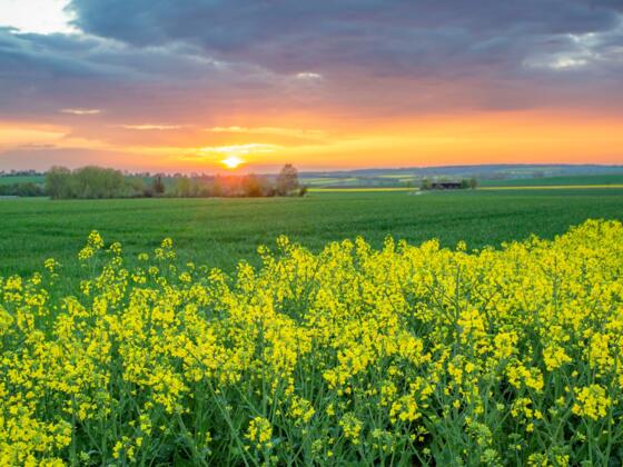 Sonnenuntergang wie aus dem Märchenbuch