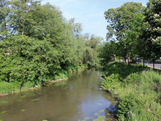 Fränkische Saale in Wülfershausen