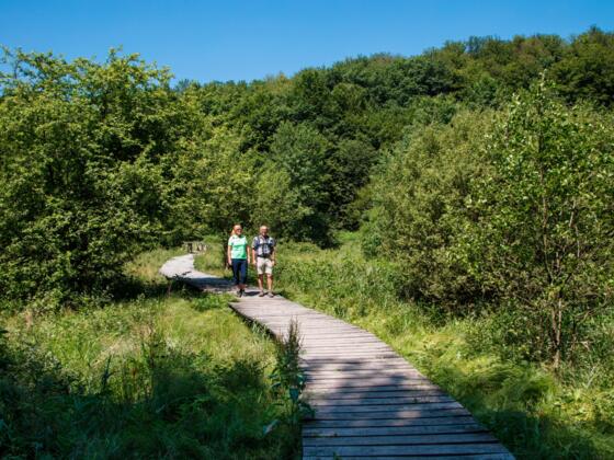 Bohlensteg im Hafenlohrtal