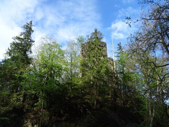 Gut getarnte Ruine Bad Sonnenberg