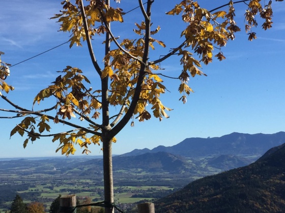 Panoramablick Tregleralm
