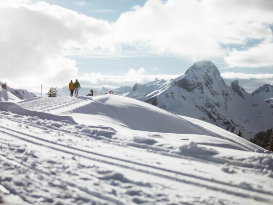 Winterwandern