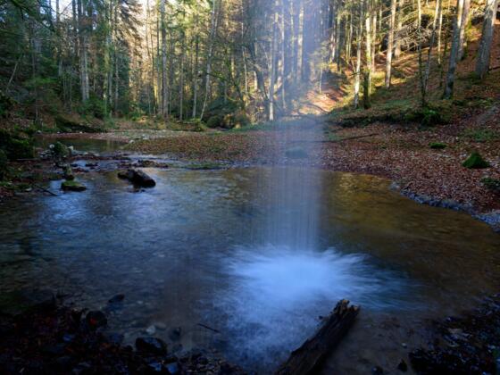 Hasenreuter Wasserfall