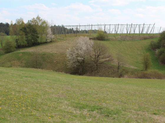 Blick auf den Hohlweg bei Unterwangenbach