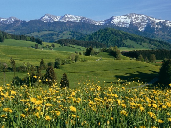 Blick auf die Nagelfluhkette