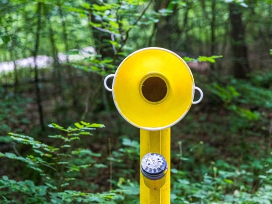 Waldtelefon am Klangweg zum Jexhof