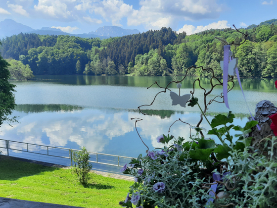 Ausblick vom Seecafè Maria über den Höglwörther See