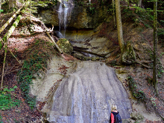 Walderlebnisfpad Möggers