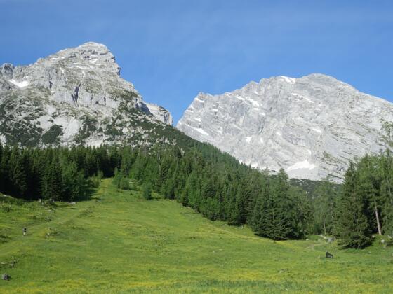 Der grasige Weg bei der Kührointalm führt zum Klein-Watzmann-Nordgrat.