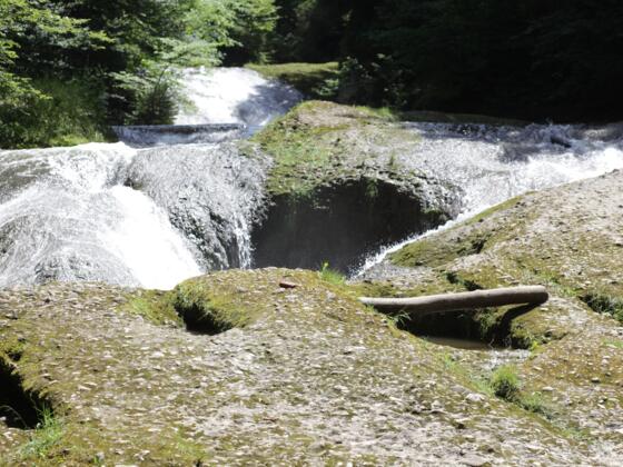 Wasserfälle im NSG Eistobel