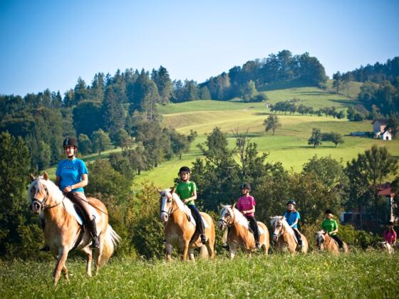 Reiten bei Weyer im Pferdeland Nationalpark Kalkalpen