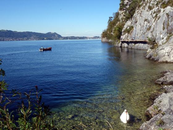 Miesweg, teils versichert