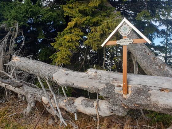 Gipfelkreuz des Jausenkogels (neu)