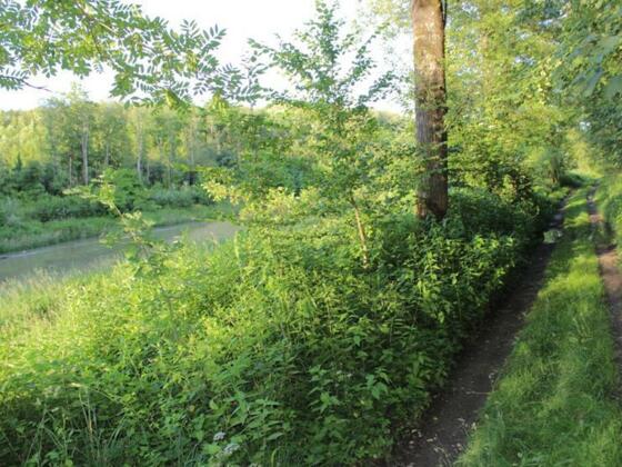 Pfarrgrenze von Schönering und Alkoven