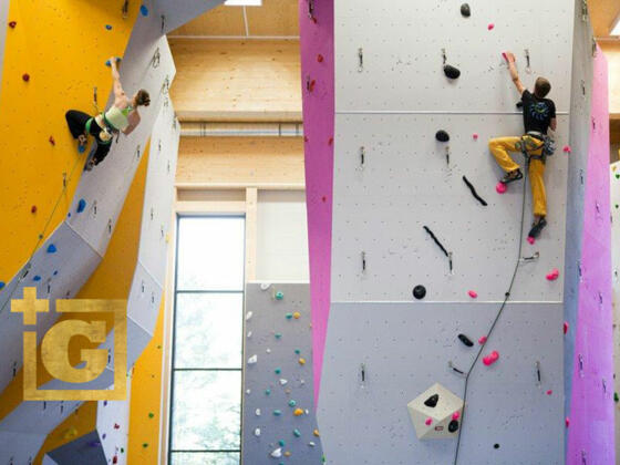 Kletterhalle 6a - Gaflenz