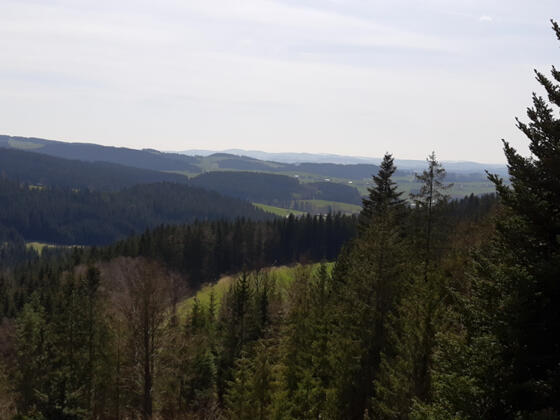 Weiterer Ausblick auf der Jankuskirche