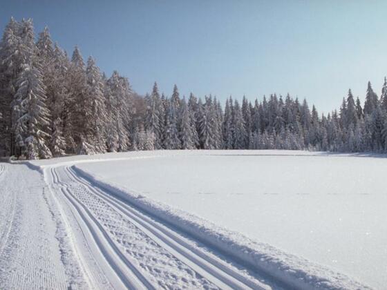 Langlaufspuren im Schnee