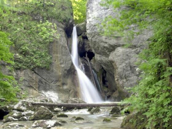 Rinnergerber Wasserfall