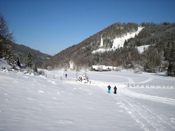 Langlaufarena Waldhütte - Weyer