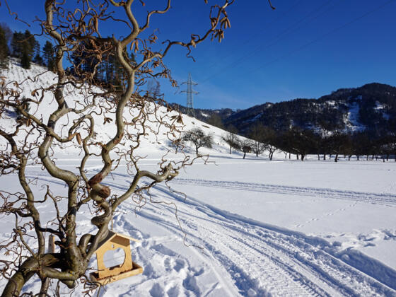 Loipe Neudorf - Gaflenz