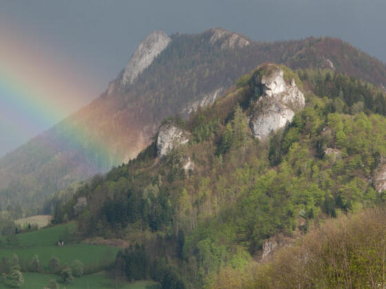 Klettergarten Obere Nußwand - Losenstein