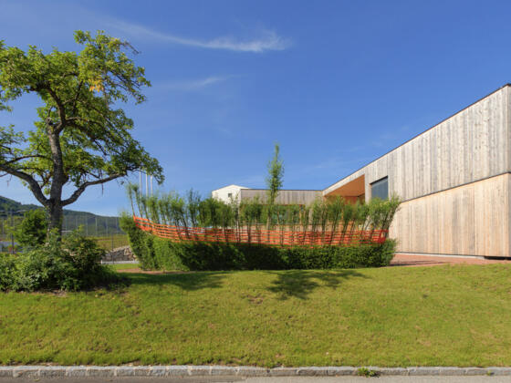 Weidenschiff bei der Volksschule