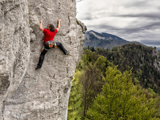 Klettergarten Nusswand - Losenstein