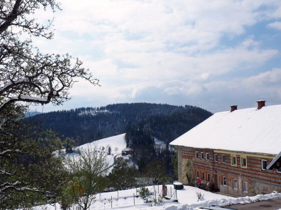 Oberhammet 886m von Oberndorf 800m