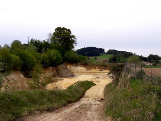 Sandgrube 5 aufgelassen (Brutstätte Bienenfresser nicht stören))