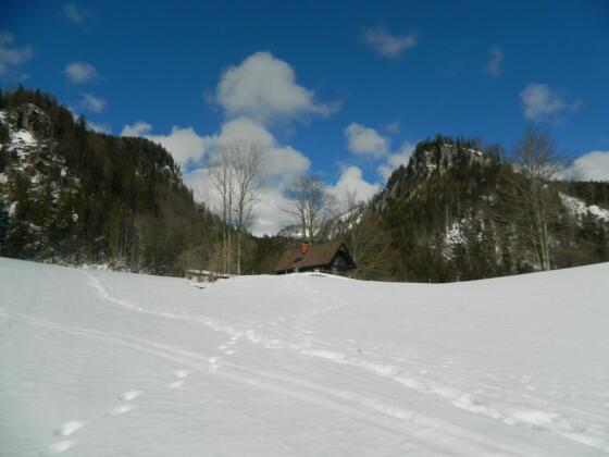 Saileralm
