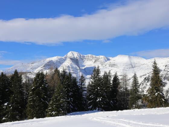 Am Gipfel des Schwarzkogel