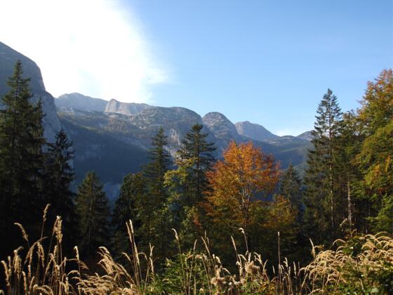 Hoch Sieg, Blick ins Dachsteinmassiv