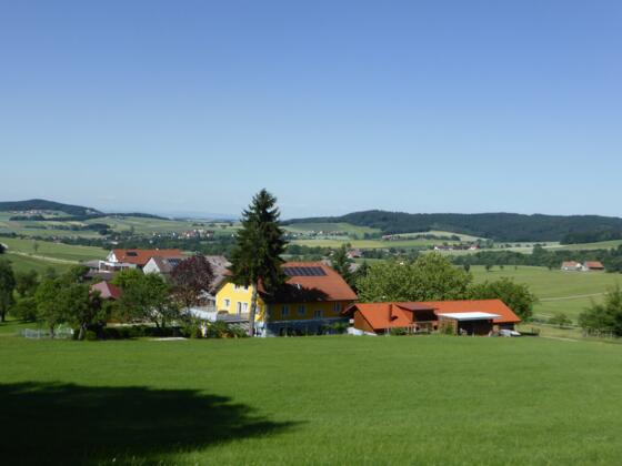 Feitzinger Wirt