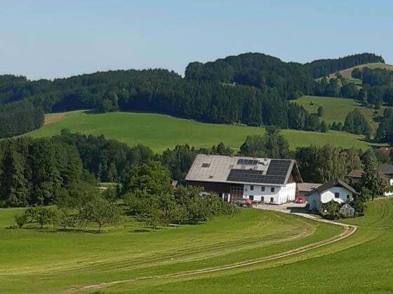 Stumerhof Zell am Moos