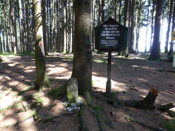 Historischer Grenzstein