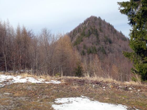 Wasenriedel/Zickertstein 1129m