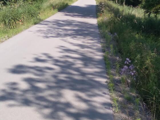 Fahrt durch ländliche Idylle.