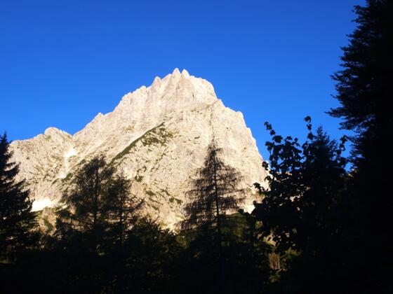 Märchenwiese 1185m mit Spitzmauer