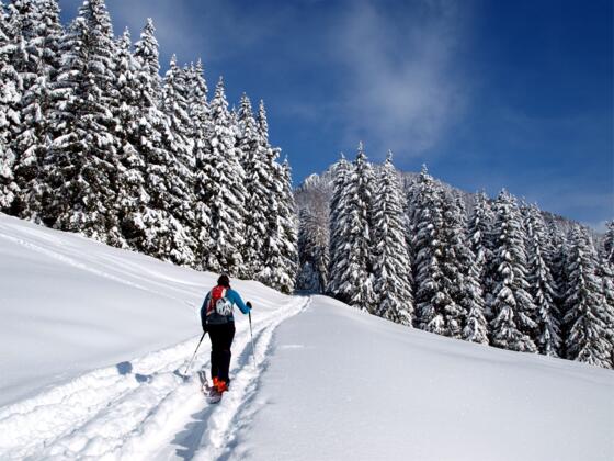Kreuzau 1065 m