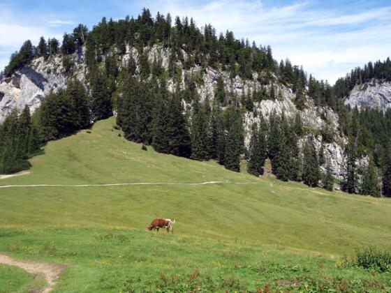 Zwerchwand ~1.330m