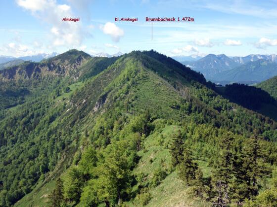 Brunnbacheck 1472m