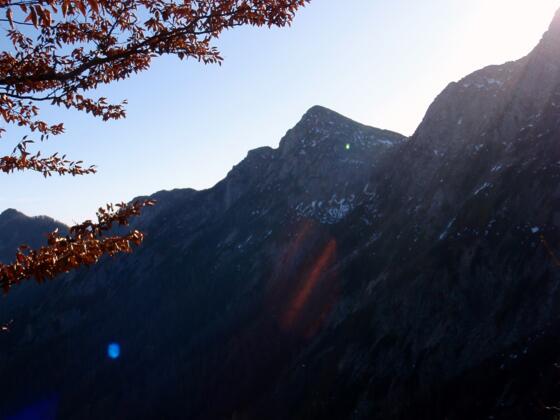Niederkalmberg 1827 m