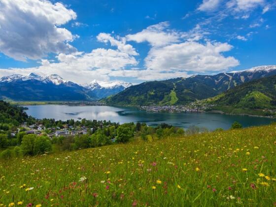 Mitterbergblick Sommer