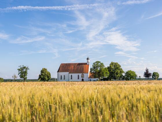 Weizenfeld vor der Wallfahrtkirche St. Willibald
