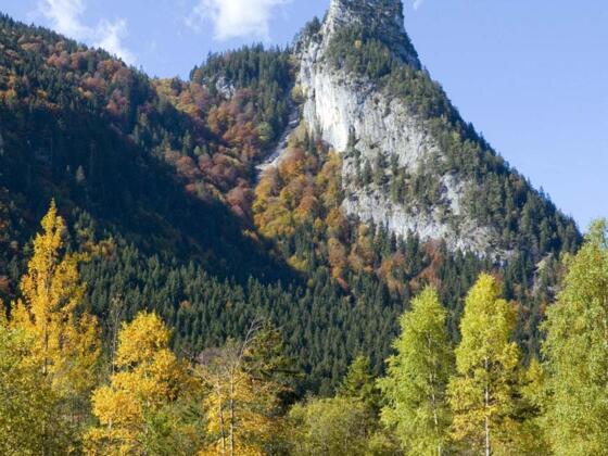 Der Kofel im Herbst